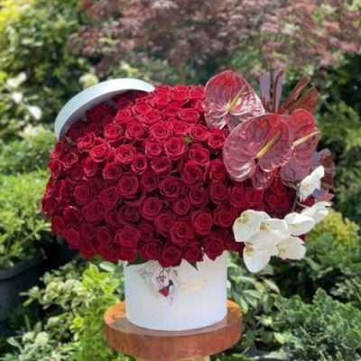 خرید جعبه گل رز