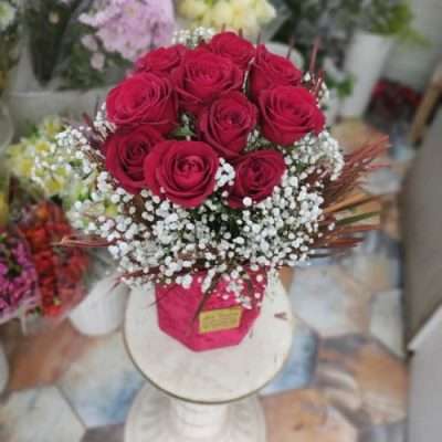 خرید گل رز ایرانی