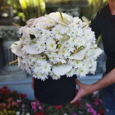 سبد گل برای همدردی جدید