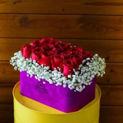 هدیه ولنتاین برای پسر